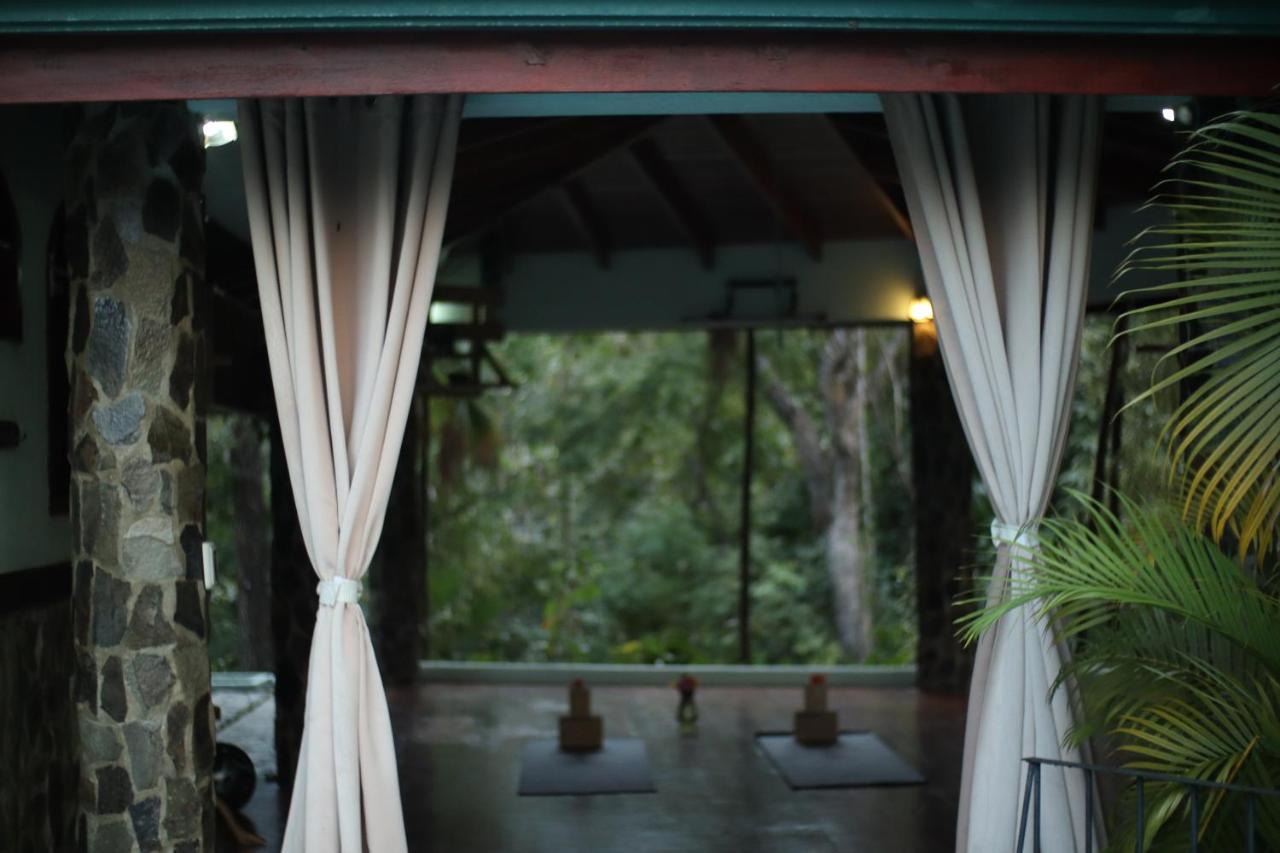 Jungle'S Edge Hotel Nosara Exterior photo