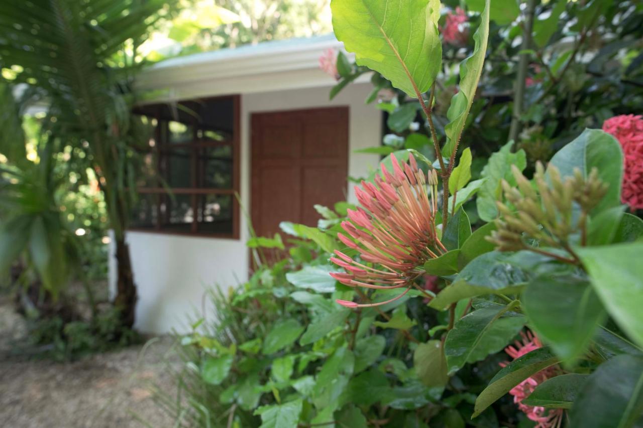 Jungle'S Edge Hotel Nosara Exterior photo